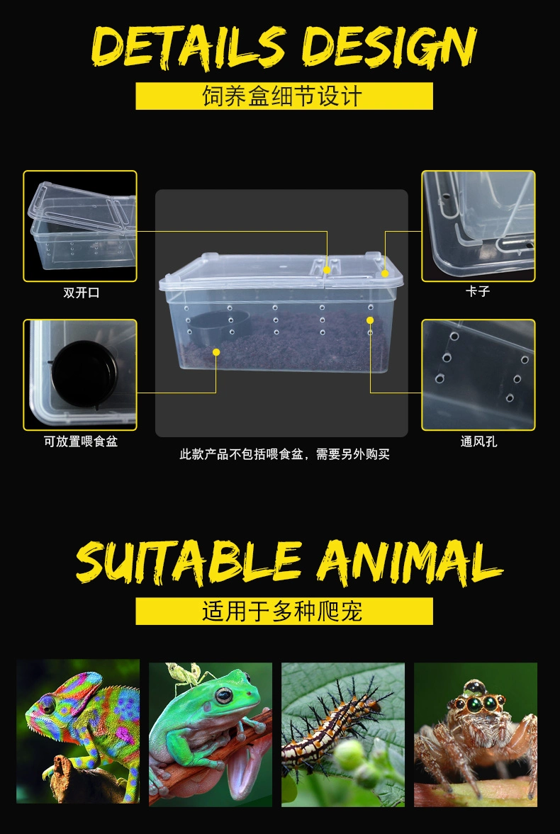 Clear Breeding Box Insect Spider Feeding Case Small Size PP Plastic Reptile Box for Lizard Snake
