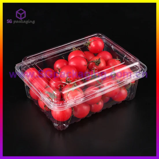 Erdbeer-Haustier-Einweg-Clamshell-Verpackung, transparente Obst-Kunststoffbox